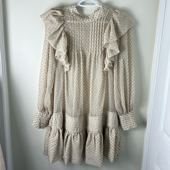 H&M Drop Waist Raffle Babydoll Polka Sheer Dress Size Small - Picture 5 of 13